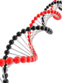 生物基因