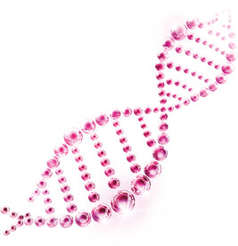 生物基因 