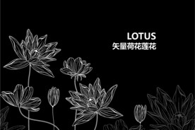 手绘莲花荷花