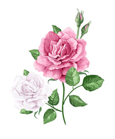  数码印花水彩花抽象花卉水彩花