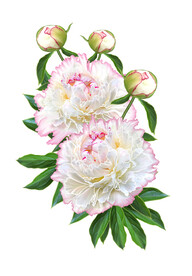数码印花水彩花抽象花卉水彩花