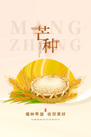 芒种