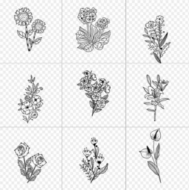 白描花卉