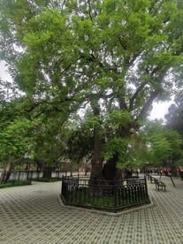 天坛旅游摄影