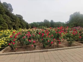 天坛公园