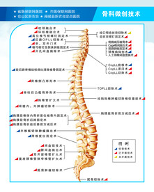 脊柱外科技术概况