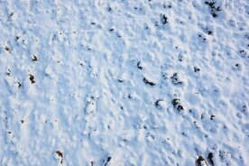 雪地贴图