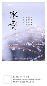 节气海报
