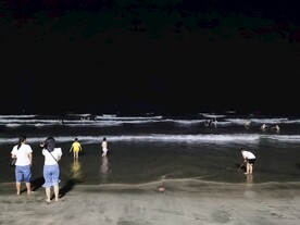 夜晚双月湾海边风景