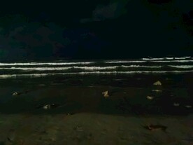 黑夜中的大海