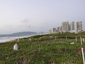 双月湾海滩