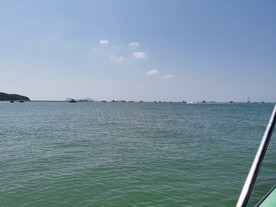 惠州双月湾海水