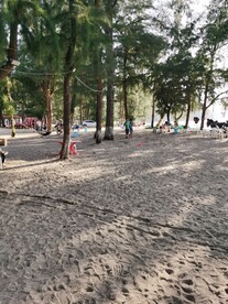 双月湾大澳村树林沙滩