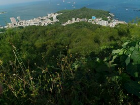 惠州双月湾 森林大海蓝天