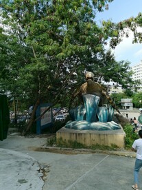 双月湾海龟保护区