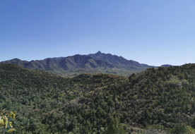 蓝天青山图