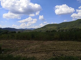 蓝天白云的乡村