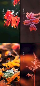 霜降