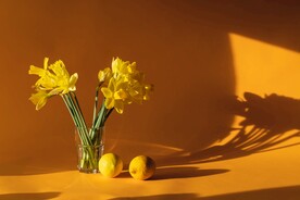 鲜花和柠檬