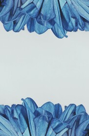 蓝色鲜花便签