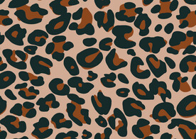 豹纹  