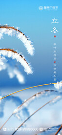 二十四节气海报 立冬海报