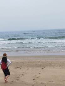 海边 大海 