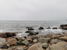 海边 大海 