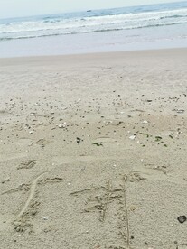 海边 