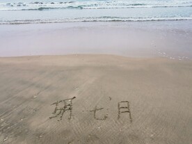 海边 
