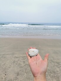 海边 大海