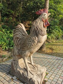 雕刻鸡