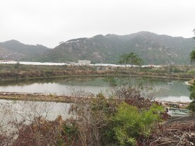 美丽湖泊