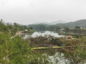 美丽湖泊 