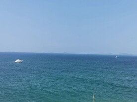 大海