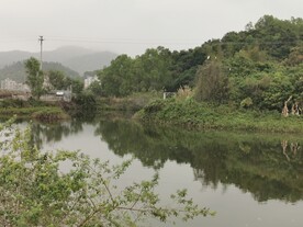 美丽湖泊 
