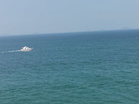 海边 大海