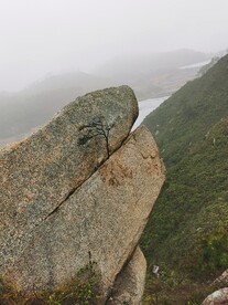 大山