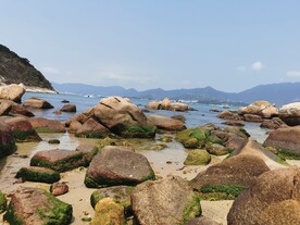 海边 大海