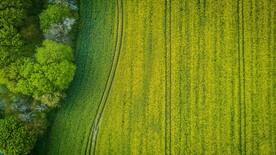 背景纹理图片 