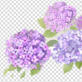 花 