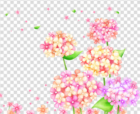 花 