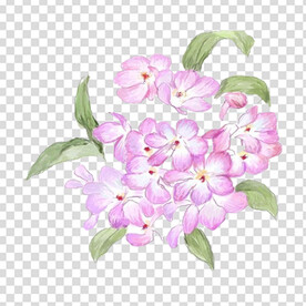 花 