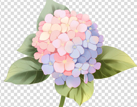 花 