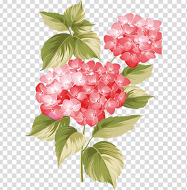 花 