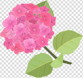 花 