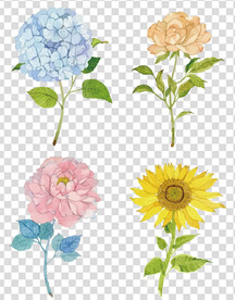 花 