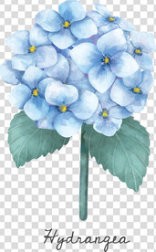 花 