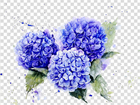 花 