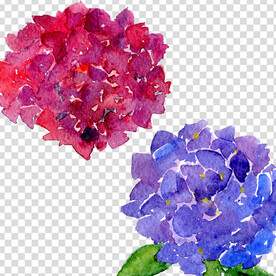 花 